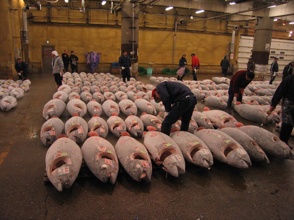 Jualan tuna di pasar Tsukiji, Jepun, foto arkib dimuat naik pada 2006. Bukan foto acara perdagangan di Kuala Lumpur.