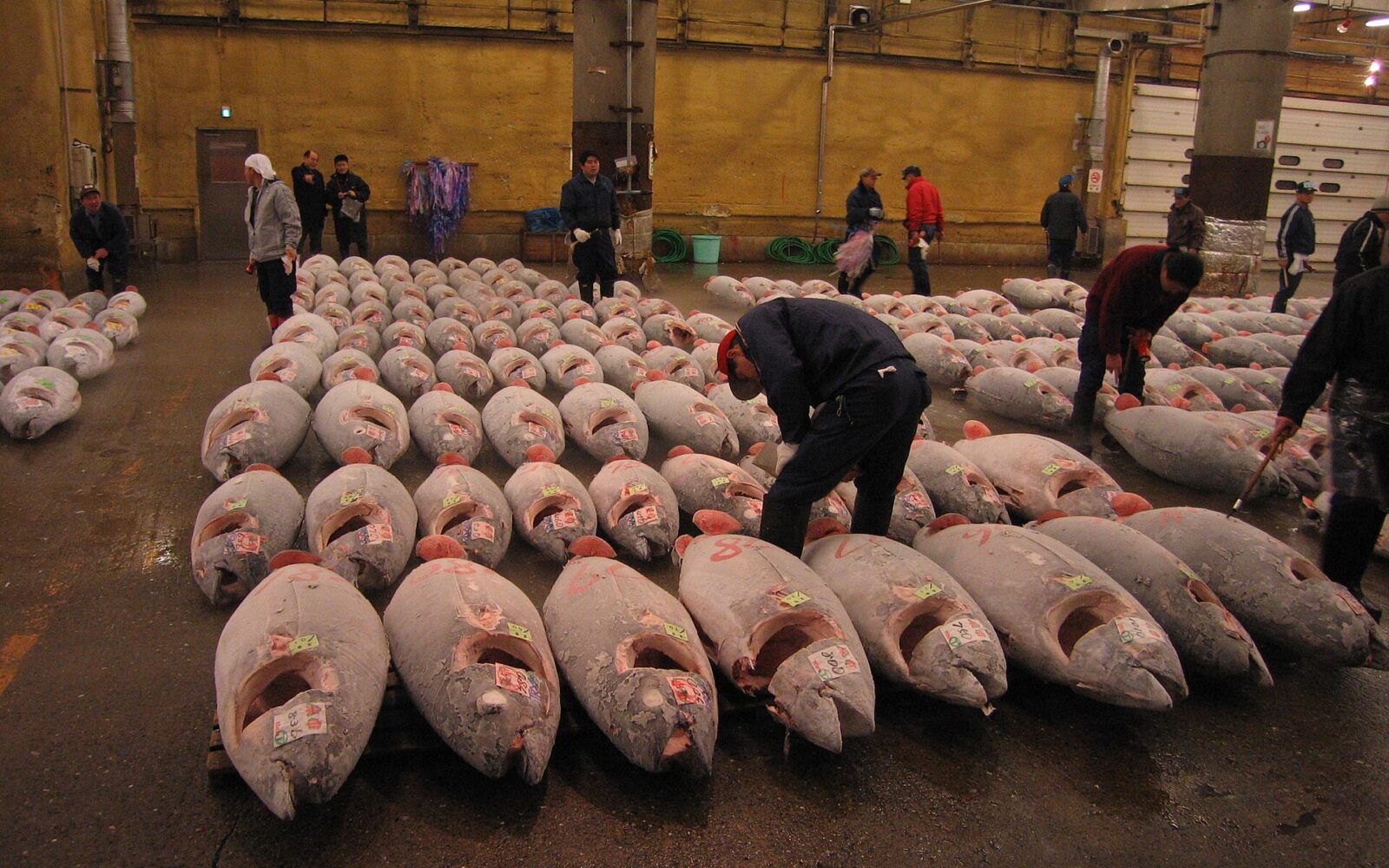 Jualan tuna di pasar Tsukiji, Jepun, foto arkib dimuat naik pada 2006. Bukan foto acara perdagangan di Kuala Lumpur.